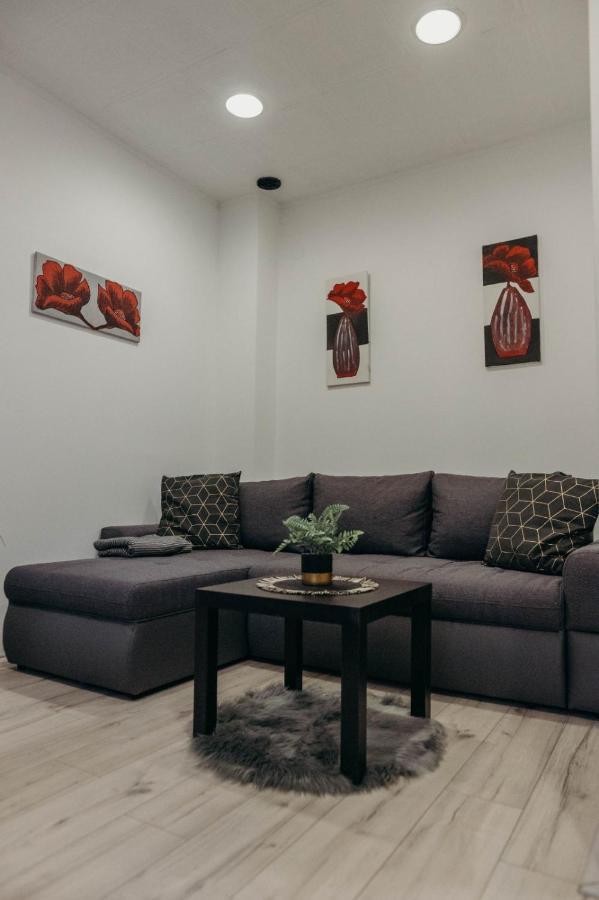Holy Apartment Ðakovo Bagian luar foto